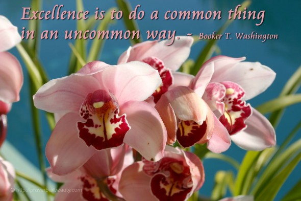 Excellence is to do a common thing in an uncommon way. - Booker T. Washington
