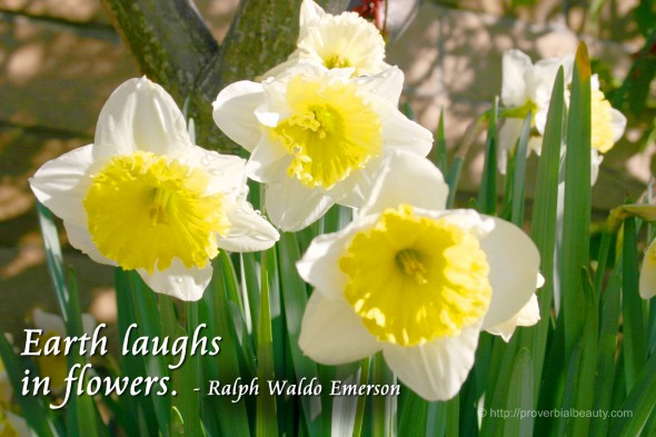 Earth laughs in flowers. - Ralph Waldo Emerson