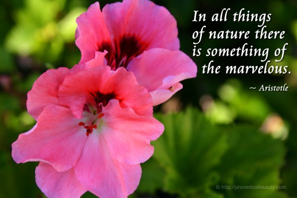 In all things of nature there is something of the marvelous. ~ Aristotle