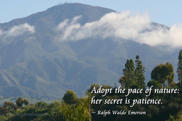 Adopt the pace of nature: her secret is patience. ~ Ralph Waldo Emerson