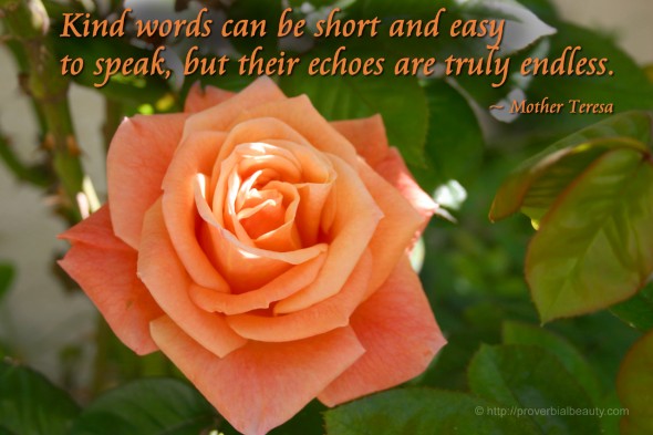 Kind words can be short and easy to speak, but their echoes are truly endless. ~ Mother Teresa