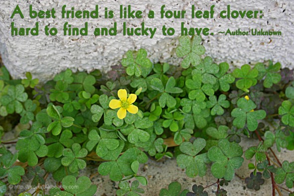 A best friend is like a four leaf clover: hard to find and lucky to have. ~Author Unknown