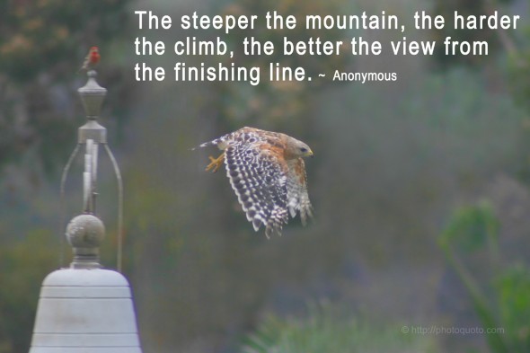 The steeper the mountain, the harder the climb, the better the view from the finishing line. ~  Anonymous 
