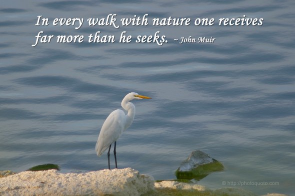 In every walk with nature one receives far more than he seeks. ~ John Muir