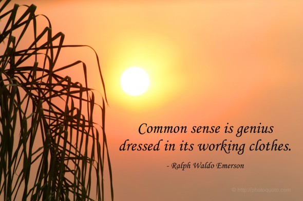 Common sense is genius dressed in its working clothes. - Ralph Waldo Emerson