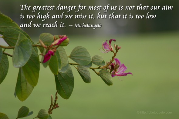 The greatest danger for most of us is not that our aim is too high and we miss it, but that it is too low and we reach it. ~ Michelangelo