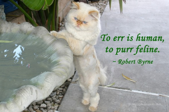 To err is human, to purr feline. ~ Robert Byrne
