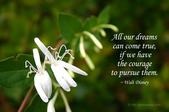 All our dreams can come true, if we have the courage to pursue them. ~ Walt Disney