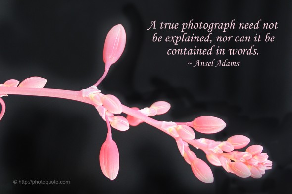A true photograph need not be explained, nor can it be contained in words. ~ Ansel Adams