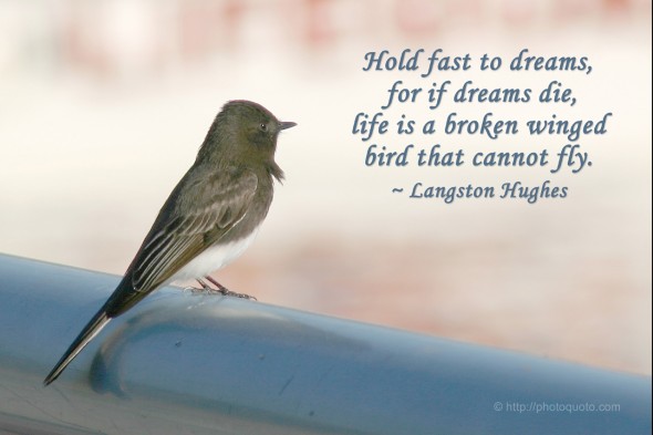 Hold fast to dreams,  for if dreams die,  life is a broken winged  bird that cannot fly. ~ Langston Hughes