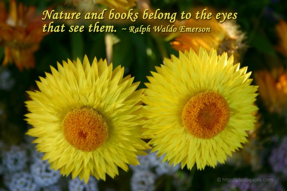 Nature and books belong to the eyes that see them. ~ Ralph Waldo Emerson