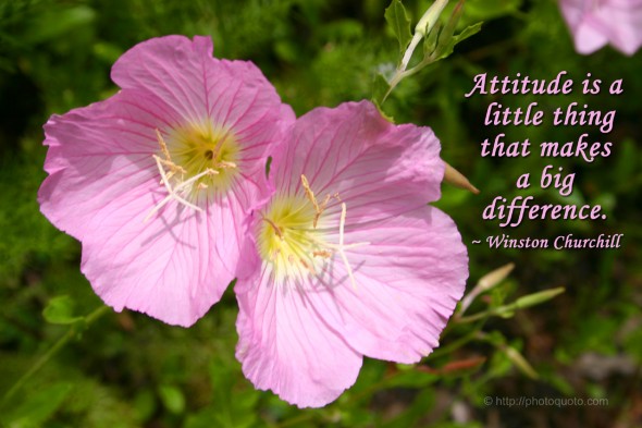 Attitude is a little thing that makes a big difference. ~ Winston Churchill