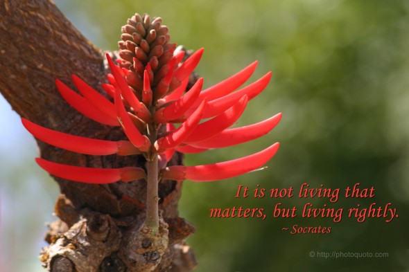 It is not living that matters, but living rightly. ~ Socrates