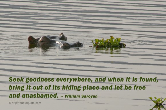 Seek goodness everywhere, and when it is found, bring it out of its hiding place and let be free and unashamed. ~ William Saroyan