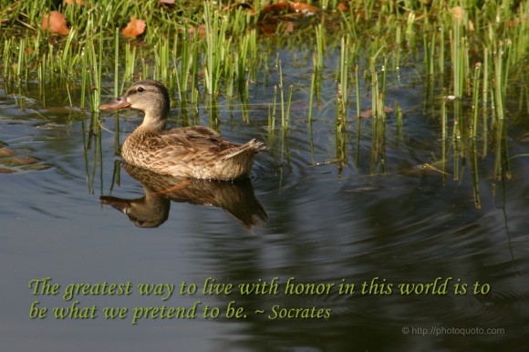 The greatest way to live with honor in this world is to be what we pretend to be. ~ Socrates