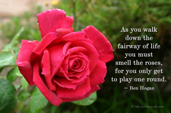 As you walk down the fairway of life you must smell the roses, for you only get to play one round. ~ Ben Hogan 
