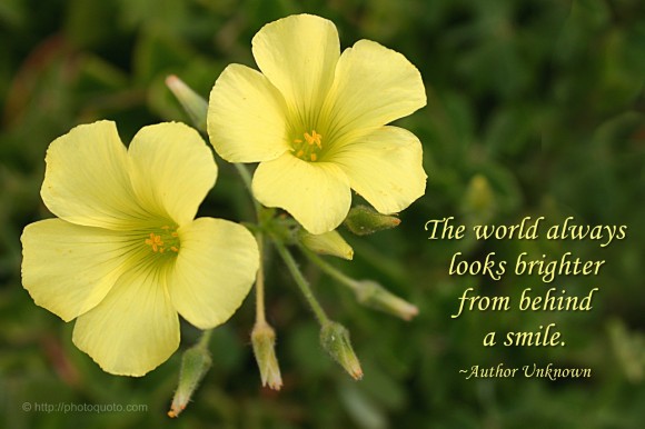The world always looks brighter from behind a smile. ~ Author Unknown