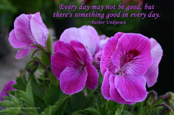 Every day may not be good, but there's something good in every day. ~ Author Unknown
