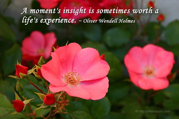A moment's insight is sometimes worth a life's experience. ~ Oliver Wendell Holmes