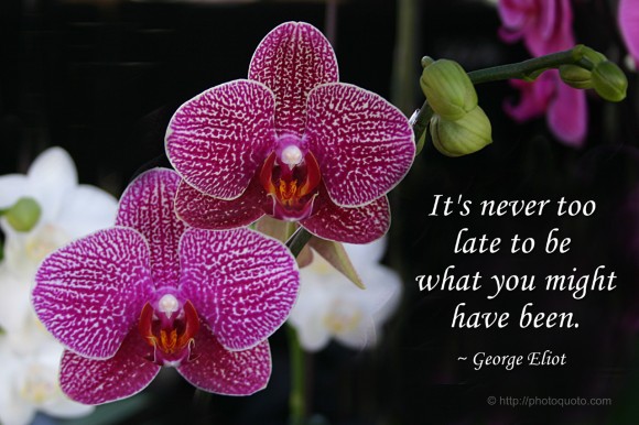 It's never too  late to be  what you might  have been. ~ George Eliot