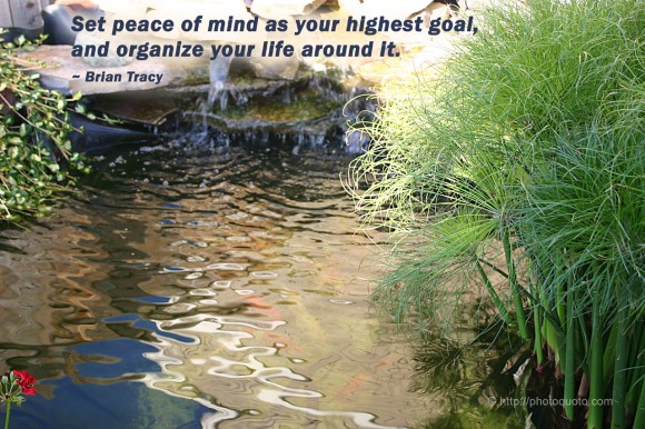 Set peace of mind as your highest goal, and organize your life around it. ~ Brian Tracy