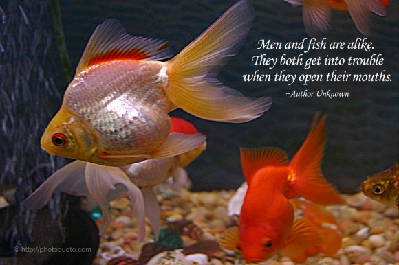 Men and fish are alike. They both get into trouble when they open their mouths. ~ Author Unknown