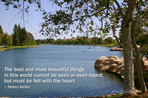 The best and most beautiful things in this world cannot be seen or even heard, but must be felt with the heart. ~ Helen Keller 