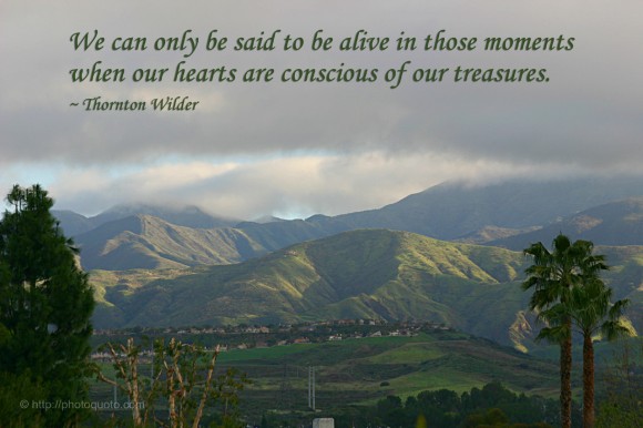 We can only be said to be alive in those moments when our hearts are conscious of our treasures. ~ Thornton Wilder