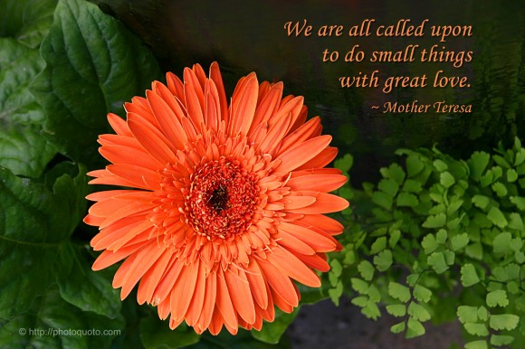 We are all called upon to do small things with great love. ~ Mother Teresa