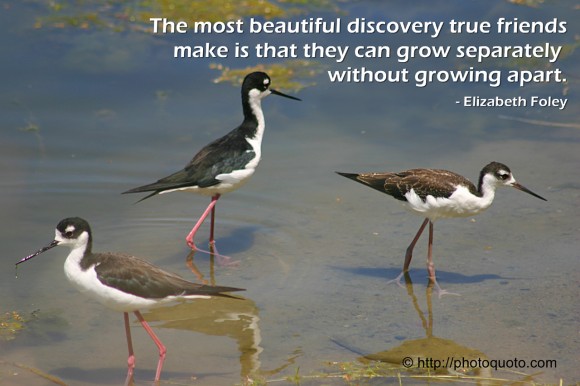 The most beautiful discovery true friends make is that they can grow separately without growing apart. - Elizabeth Foley