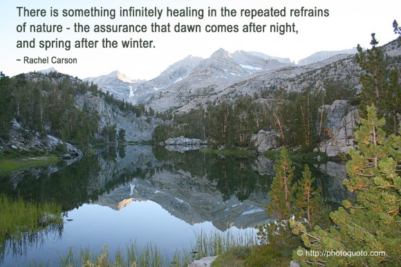 There is something infinitely healing in the repeated refrains of nature - the assurance that dawn comes after night, and spring after the winter. ~ Rachel Carson