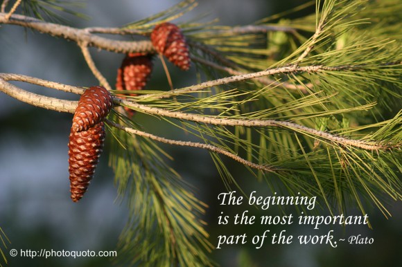 The beginning is the most important part of the work. ~ Plato