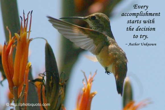 Every accomplishment starts with the decision to try. ~ Author Unknown
