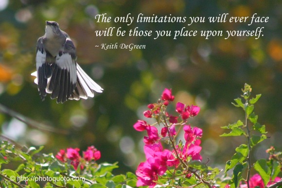 The only limitations you will ever face will be those you place upon yourself. ~ Keith DeGreen