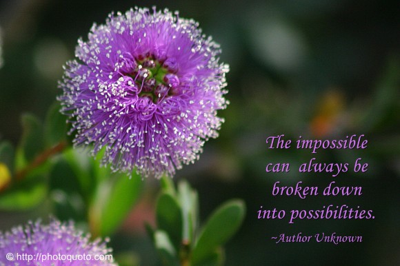 The impossible can always be broken down into possibilities. ~ Author Unknown