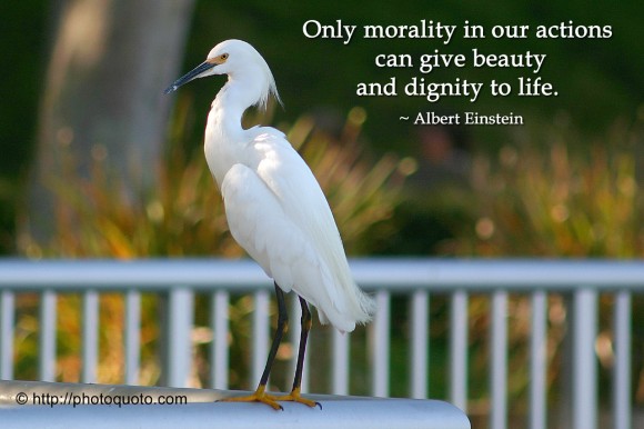 Only morality in our actions can give beauty and dignity to life. ~ Albert Einstein