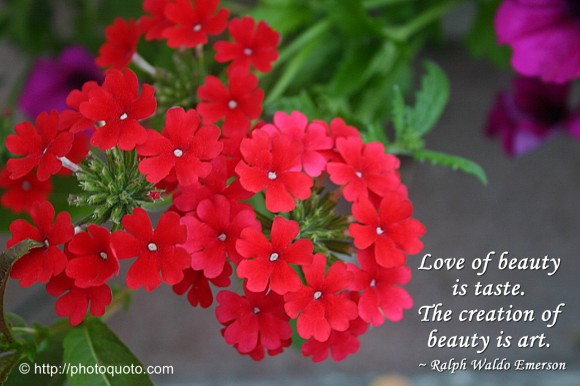 Love of beauty is taste. The creation of beauty is art. ~ Ralph Waldo Emerson