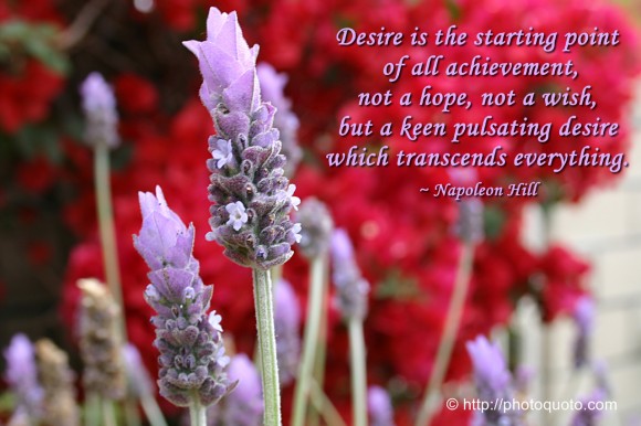 Desire is the starting point of all achievement, not a hope, not a wish, but a keen pulsating desire which transcends everything. ~ Napoleon Hill 