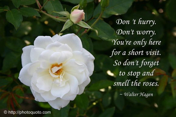 Don 't hurry. Don't worry. You're only here for a short visit. So don't forget to stop and smell the roses. ~ Walter Hagen 