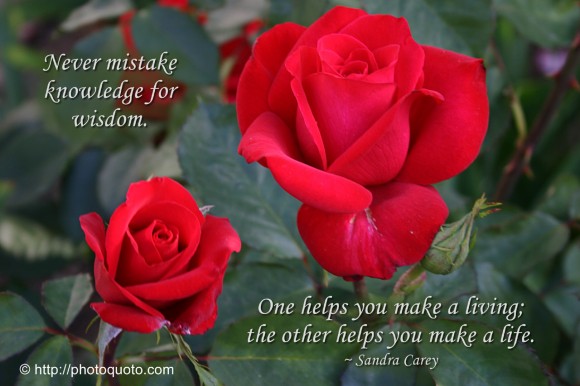 Never mistake knowledge for wisdom. One helps you make a living; the other helps you make a life. ~ Sandra Carey