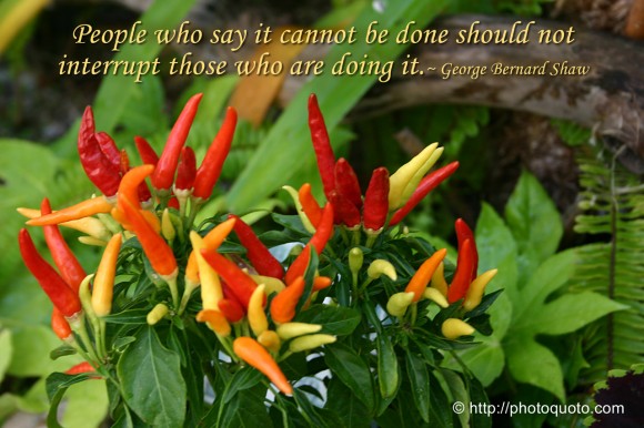 People who say it cannot be done should not interrupt those who are doing it. ~ George Bernard Shaw