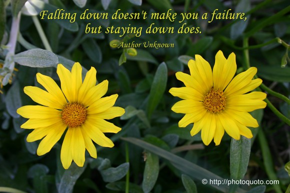 Falling down doesn't make you a failure, but staying down does. ~ Author Unknown