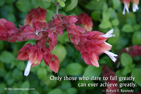 Only those who dare to fail greatly can ever achieve greatly. ~ Robert F. Kennedy  