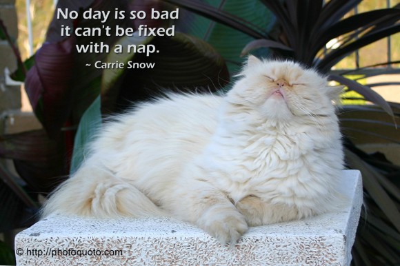 No day is so bad it can't be fixed with a nap. ~ Carrie Snow