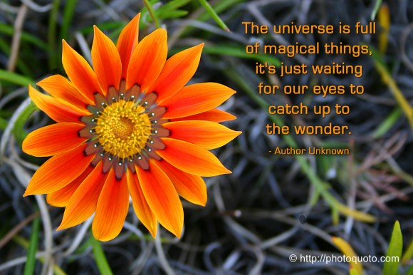 The universe is full of magical things, it's just waiting for our eyes to catch up to the wonder. ~ Author Unknown