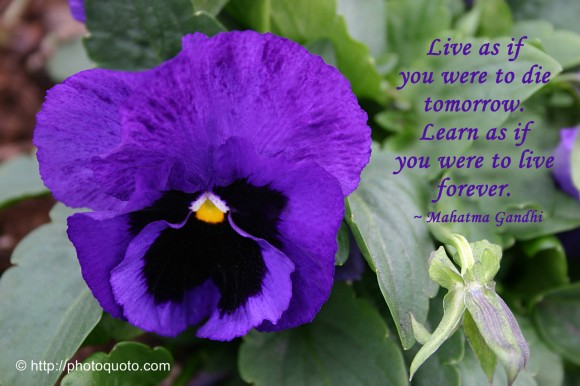 Live as if you were to die tomorrow. Learn as if you were to live forever. ~ Mahatma Gandhi
