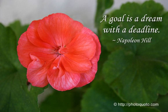 A goal is a dream with a deadline. ~ Napoleon Hill 