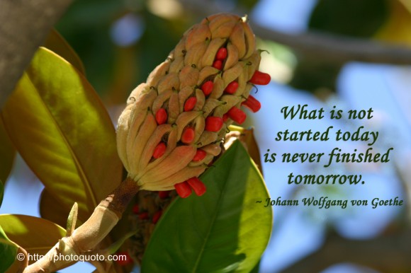 What is not started today is never finished tomorrow. ~ Johann Wolfgang von Goethe