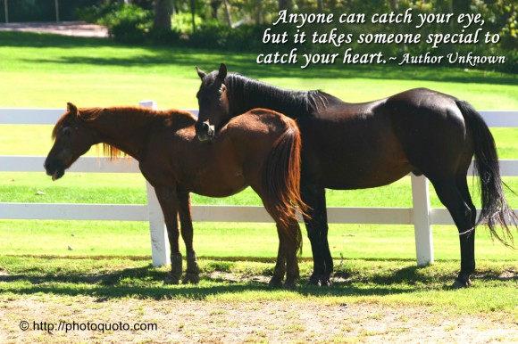 Anyone can catch your eye, but it takes someone special to catch your heart. ~ Author Unknown