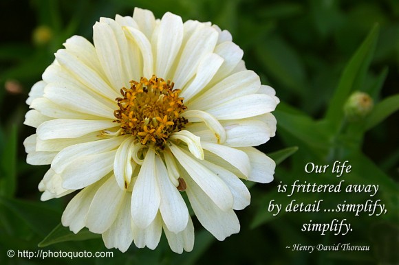 Our life is frittered away by detail ... simplify, simplify. ~ Henry David Thoreau